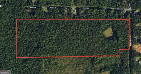 61 990 Ac Mike Powers Rd, Grantville, GA 30220
