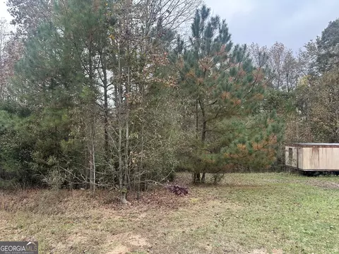 0 Payne Ln, Carnesville, GA 30521 photo 2