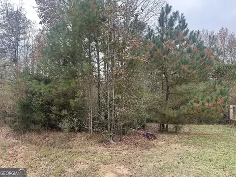 0 Payne Ln, Carnesville, GA 30521 photo 3