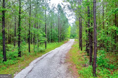 875 Bailey Rd, Monticello, GA 31064 photo 5