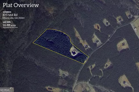 875 Bailey Rd, Monticello, GA 31064 photo 64