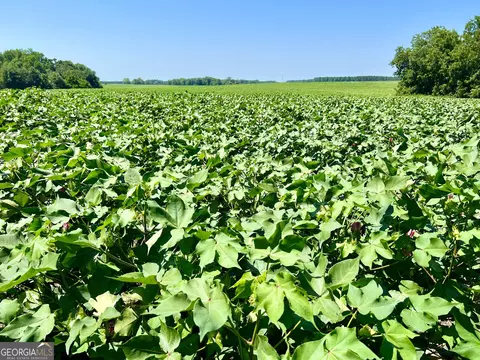 0 Us-280 Rd, Cordele, GA 31015