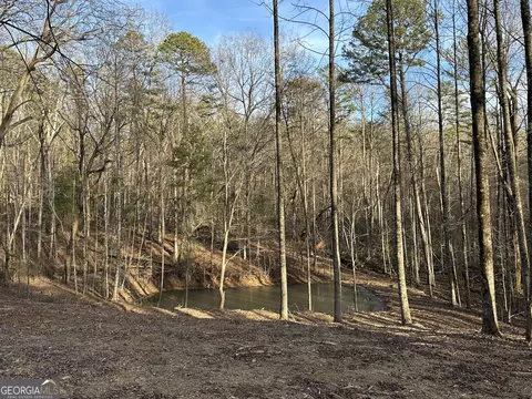 Tract 3 New Liberty Estates Road, Clarkesville, GA 30523