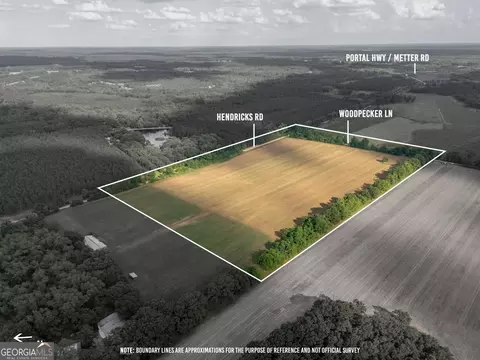 lot3 Hendricks Rd, Metter, GA 30439