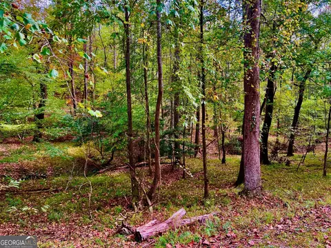 574 S Satsuma Ct, Ellijay, GA 30540