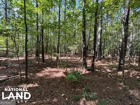 0 Cochran Rd, Madison, GA 30650 photo 10