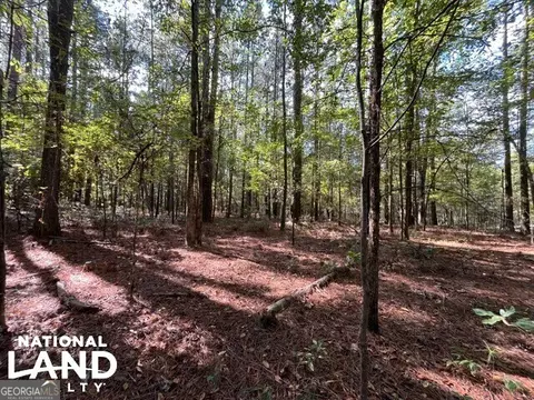 0 Cochran Rd, Madison, GA 30650 photo 6