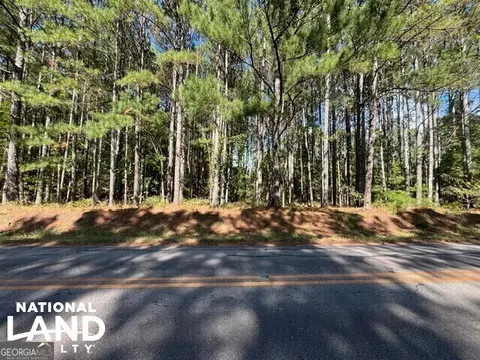 0 Cochran Rd, Madison, GA 30650 photo 5