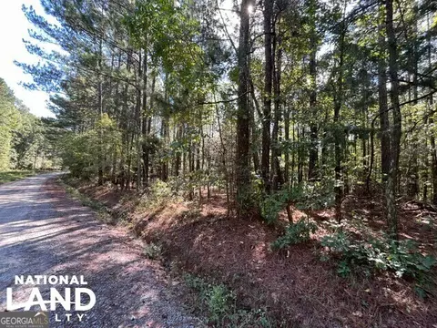 0 Cochran Rd, Madison, GA 30650 photo 11