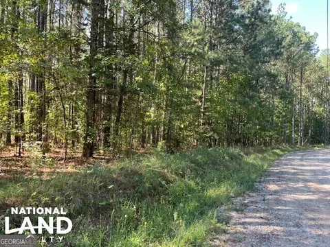 0 Cochran Rd, Madison, GA 30650 photo 7