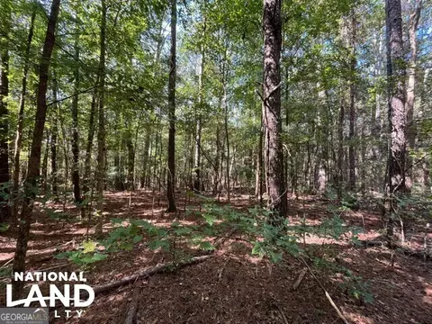 0 Cochran Rd, Madison, GA 30650 photo 2