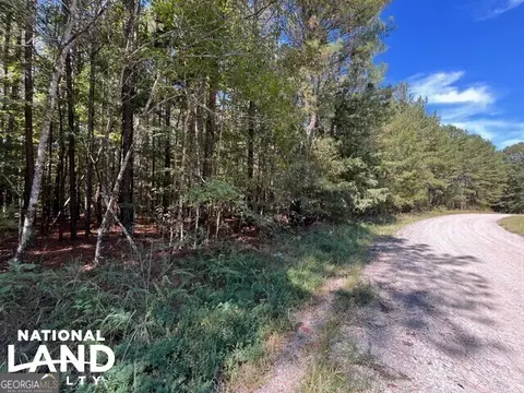 0 Cochran Rd, Madison, GA 30650 photo 4