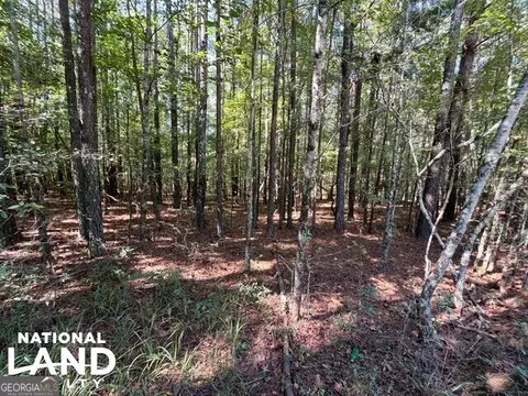 0 Cochran Rd, Madison, GA 30650 photo 3