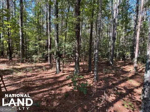 0 Cochran Rd, Madison, GA 30650 photo 12
