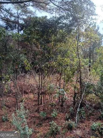 0 J R Parker Rd, Statesboro, GA 30458