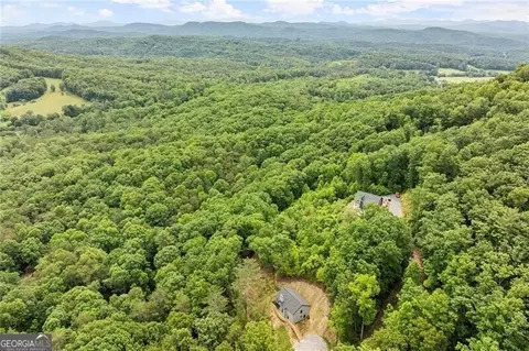 Undisclosed, Mineral Bluff, GA 30559 photo 40