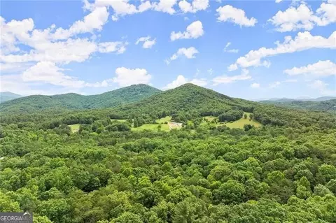 Undisclosed, Mineral Bluff, GA 30559 photo 41