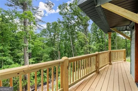 Undisclosed, Mineral Bluff, GA 30559 photo 33