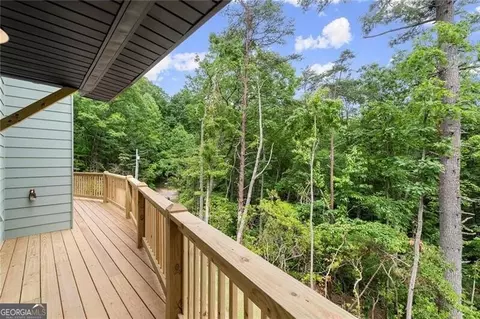 Undisclosed, Mineral Bluff, GA 30559 photo 32