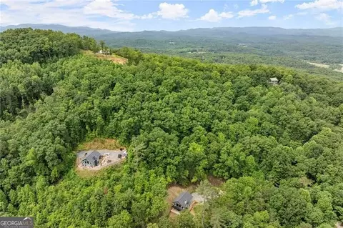 Undisclosed, Mineral Bluff, GA 30559 photo 42