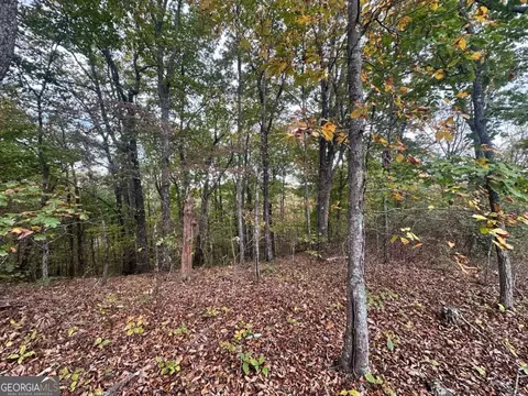 0 Outback Rd #LOT 85, Jasper, GA 30143 photo 19