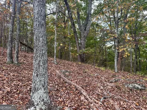 0 Outback Rd #LOT 85, Jasper, GA 30143 photo 26