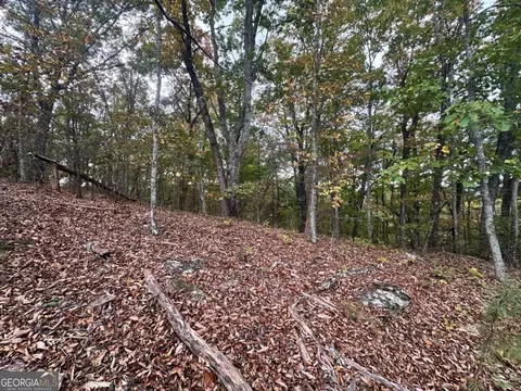 0 Outback Rd #LOT 85, Jasper, GA 30143 photo 24