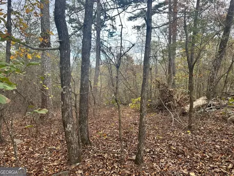 0 Outback Rd #LOT 85, Jasper, GA 30143 photo 11