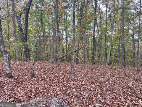 0 Outback Rd #LOT 85, Jasper, GA 30143 photo 9