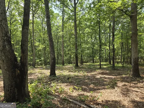 0 Faulkner Rd #LOT 2, Monticello, GA 31064