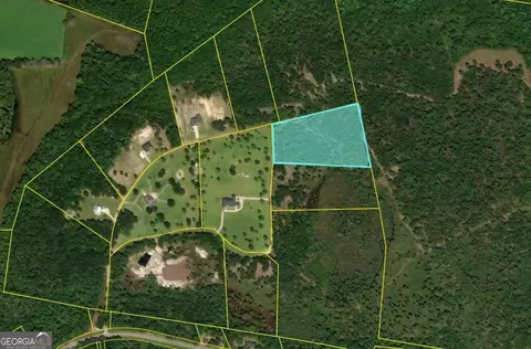 Parcel 8 John Wells / Faithland Dr Road, Hinesville, GA 31313
