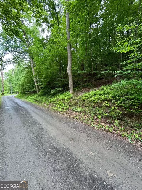 Lt244 Cherokee Drive, Ellijay, GA 30540
