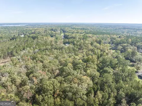 0 Dames Ferry Rd, Forsyth, GA 31029 photo 9