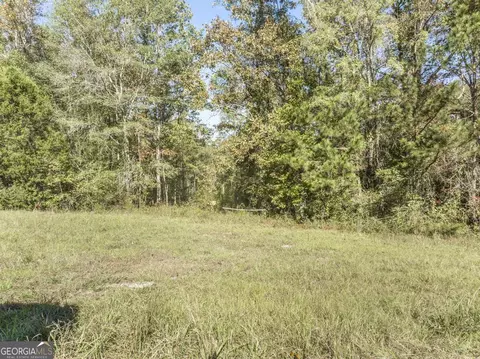 0 Dames Ferry Rd, Forsyth, GA 31029 photo 14