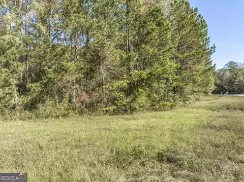 0 Dames Ferry Rd, Forsyth, GA 31029 photo 16