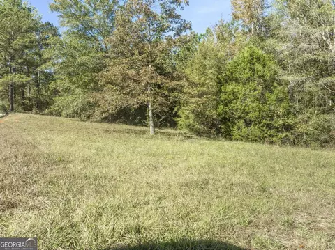 0 Dames Ferry Rd, Forsyth, GA 31029 photo 15
