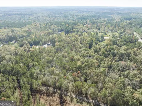 0 Dames Ferry Rd, Forsyth, GA 31029 photo 7