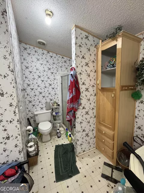 132 Gary Brewer Rd, Cobb, GA 31735 photo 32