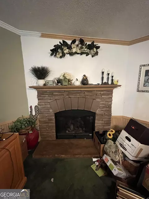 132 Gary Brewer Rd, Cobb, GA 31735 photo 26
