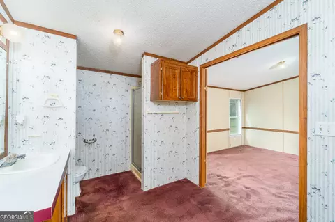 2715 Shellie Trl, Patterson, GA 31557 photo 35
