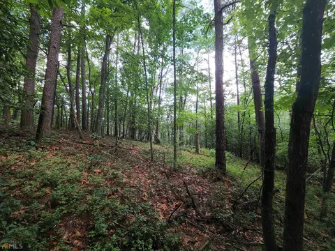 lot107 Rosen Strasse, Helen, GA 30545