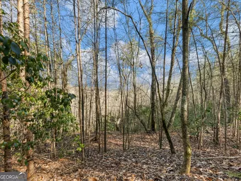 250 S Laceola Dr, Cleveland, GA 30528