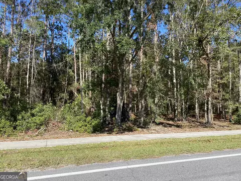 0 W Ninth St Ext, Rincon, GA 31326 photo 2