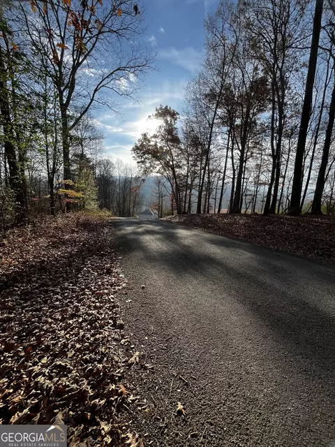 lot90 The Preserve At Crooked Crk, Young Harris, GA 30582