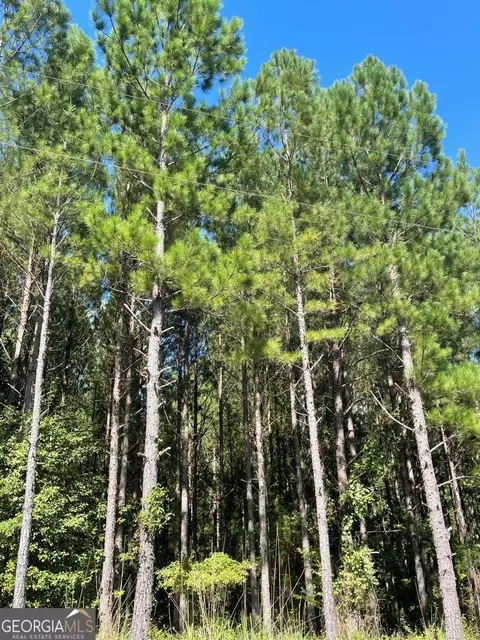 0 Sandy Grove Rd, Warrenton, GA 30828