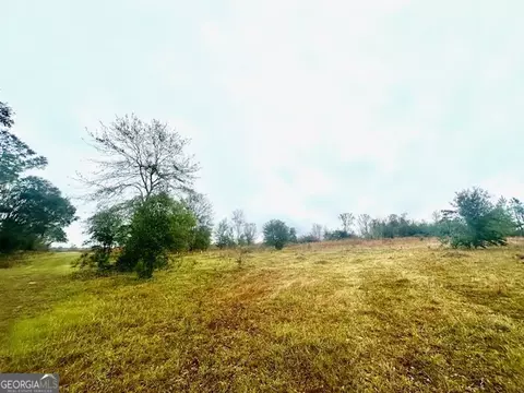 4237 Us Highway 1, Lyons, GA 30436 photo 49