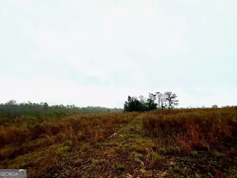 4237 Us Highway 1, Lyons, GA 30436 photo 38