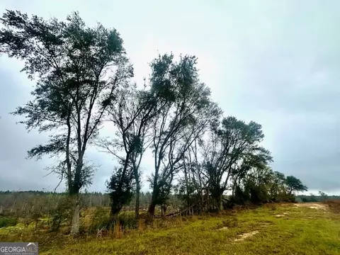 4237 Us Highway 1, Lyons, GA 30436 photo 52
