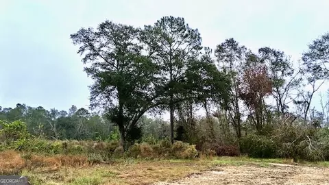 4237 Us Highway 1, Lyons, GA 30436 photo 11