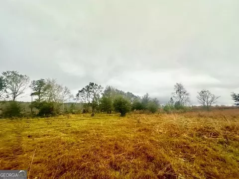 4237 Us Highway 1, Lyons, GA 30436 photo 47